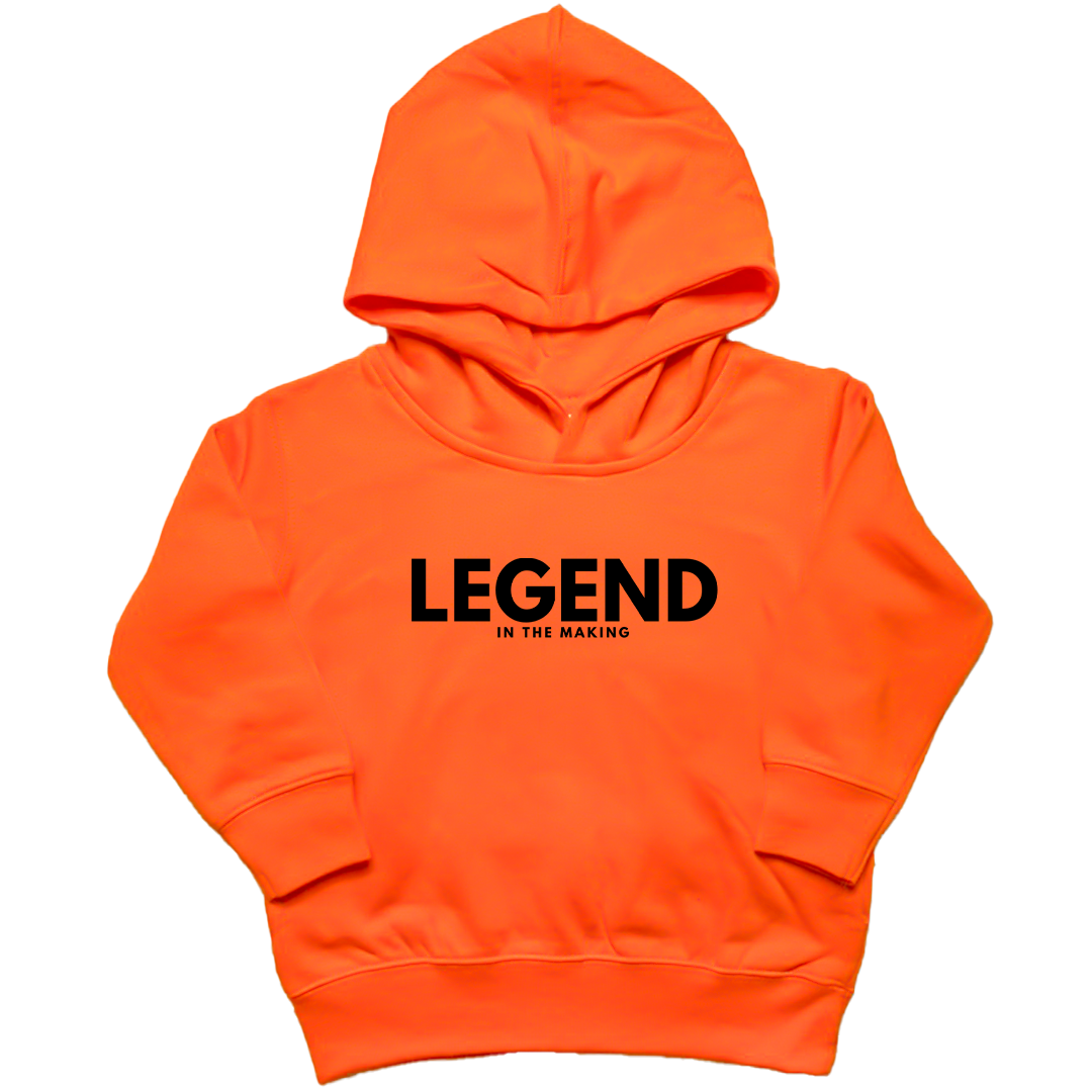 Future Legend Toddler Hoodie