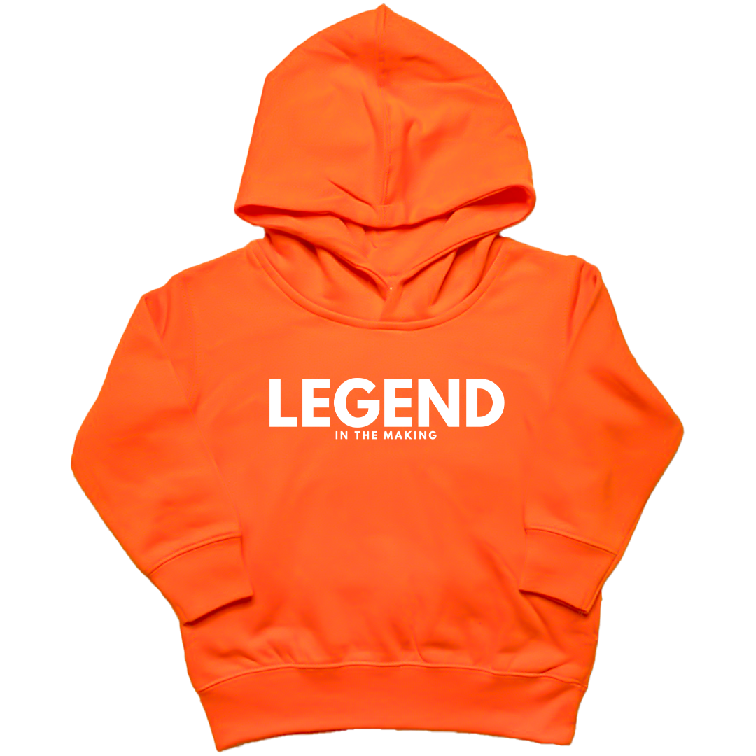 Future Legend Toddler Hoodie