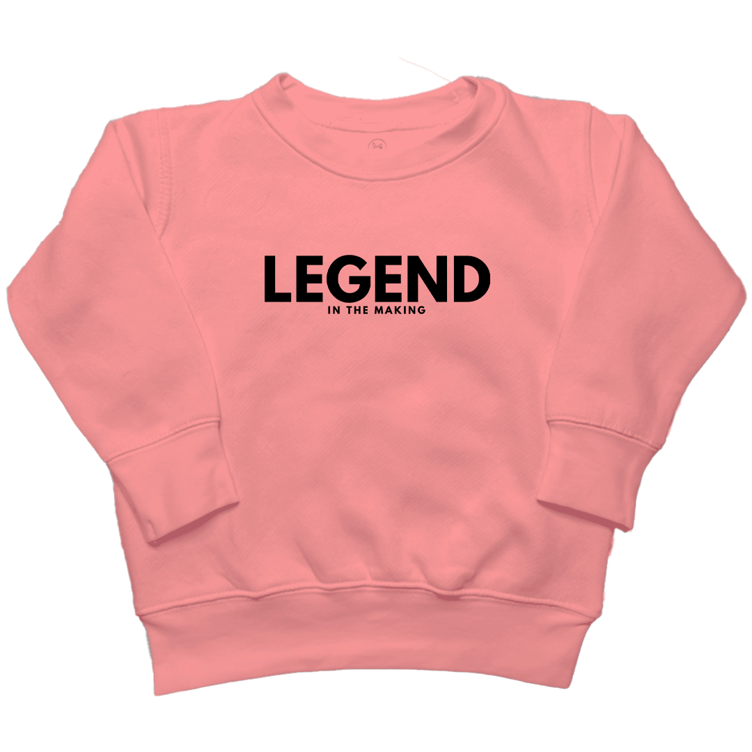 Future Legend Toddler Crew Neck Sweatshirt - Muddy Boots Clothing - Crew Neck Sweatshirt